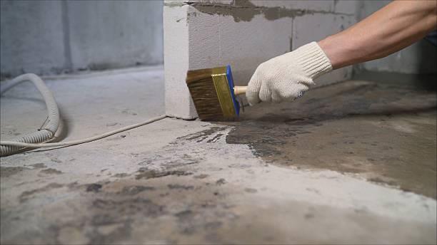 SJ Waterproofing Pros Basement Waterproofing coverage map for Mongo, IN and surrounding area